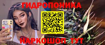 шишки Нальчик